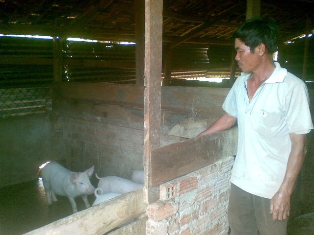 Anh Nguyễn Văn Chi đang giới thiệu trại nuôi heo của gia đình.