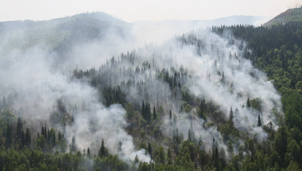 Cháy rừng tại Nga. Ảnh: Ria Novosti
