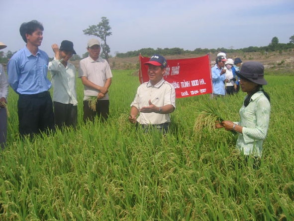 Hội thảo đầu bờ – một trong những hoạt động luôn được huyện Ea Kar tổ chức để nâng cao kiến thức sản xuất cho xã viên các HTX trồng lúa.