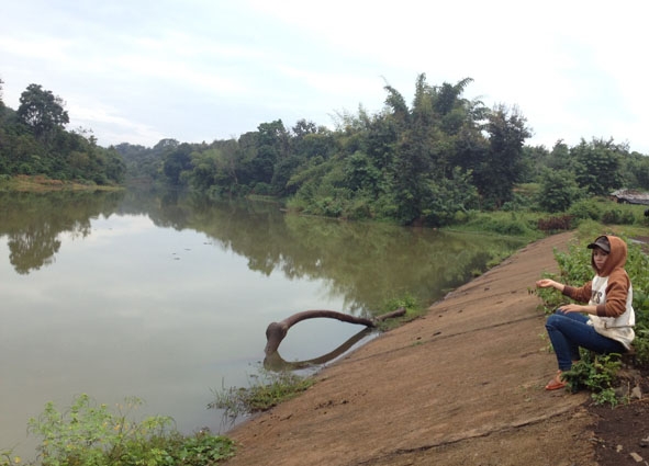 Nước thải từ Cụm công nghiệp Tân An 1 và 2 làm ô nhiễm hồ Ea Trum,  xã Cư Suê, huyện Cư M’gar.