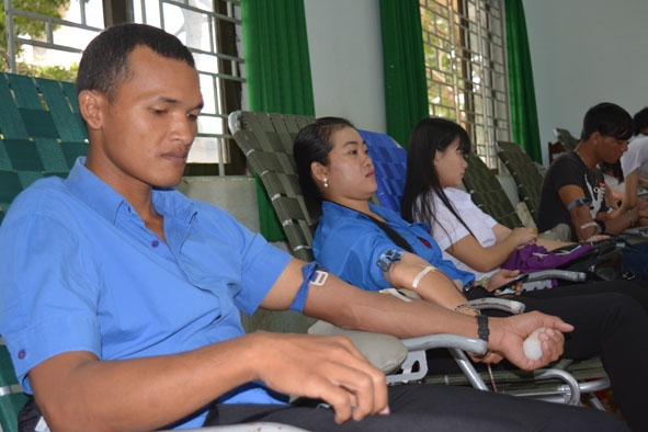 Thành viên CLB “Ngân hàng máu sống” TP.Buôn Ma Thuột  tham gia hiến máu tình nguyện.