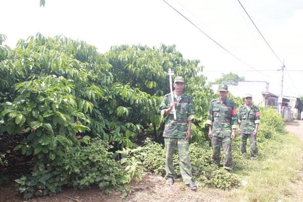 Tổ an ninh tự quản buôn Ea Yông B (huyện Krông Pắc) đi tuần tra tại rẫy cà phê của người dân.