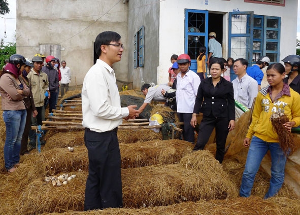 Nghề trồng nấm của Trung tâm Dạy nghề huyện Krông Ana được nhiều  lao động nông thôn đăng ký học.