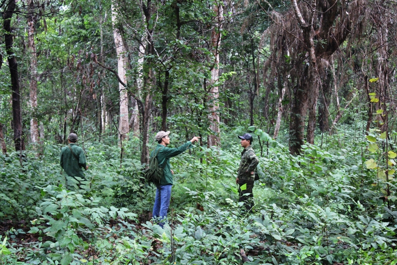 Tuần tra bảo vệ rừng ở Khu bảo tồn thiên nhiên Ea Sô