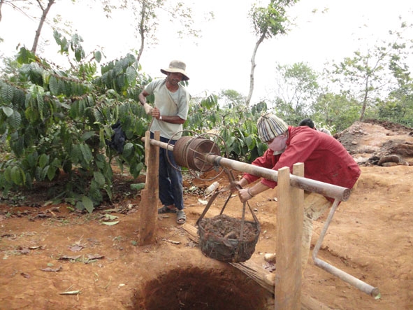 Người dân xã Ea Tul (huyện Cư M’gar) đào giếng tìm nguồn nước để chống hạn cho cây cà phê.