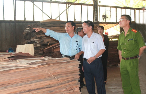Ông Lê Hạnh (đứng giữa) cùng Đoàn kiểm tra liên ngành của tỉnh kiểm tra công tác  ATVSLĐ - PCCN tại Công ty Cổ phần Gỗ lạng Buôn Ma Thuột.