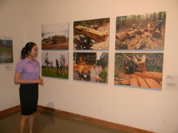 Cán bộ thuyết minh, hướng dẫn Bảo tàng Đắk Lắk cung cấp những thông tin,  hình ảnh liên quan đến nạn phá rừng đang diễn ra trên địa bàn tỉnh.