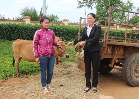 Đại diện Hội LHPN thị xã Buôn Hồ trao bò cho phụ nữ nghèo