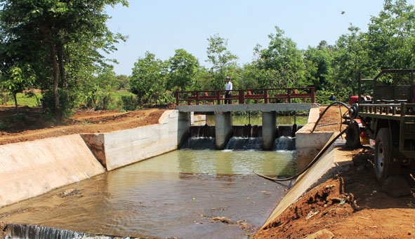 Đập Cuôr Kbông góp phần cung cấp nguồn nước tưới chống hạn cho cây trồng ở xã Cư M’gar.