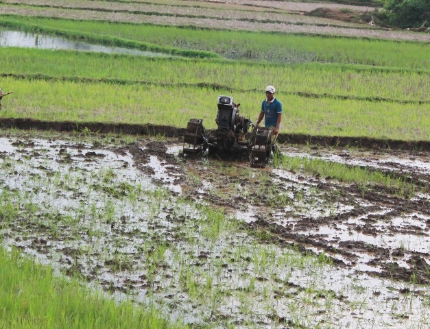 Nông dân xã Quảng Hiệp, huyện Cư M'gar chuẩn bị đất trồng lúa