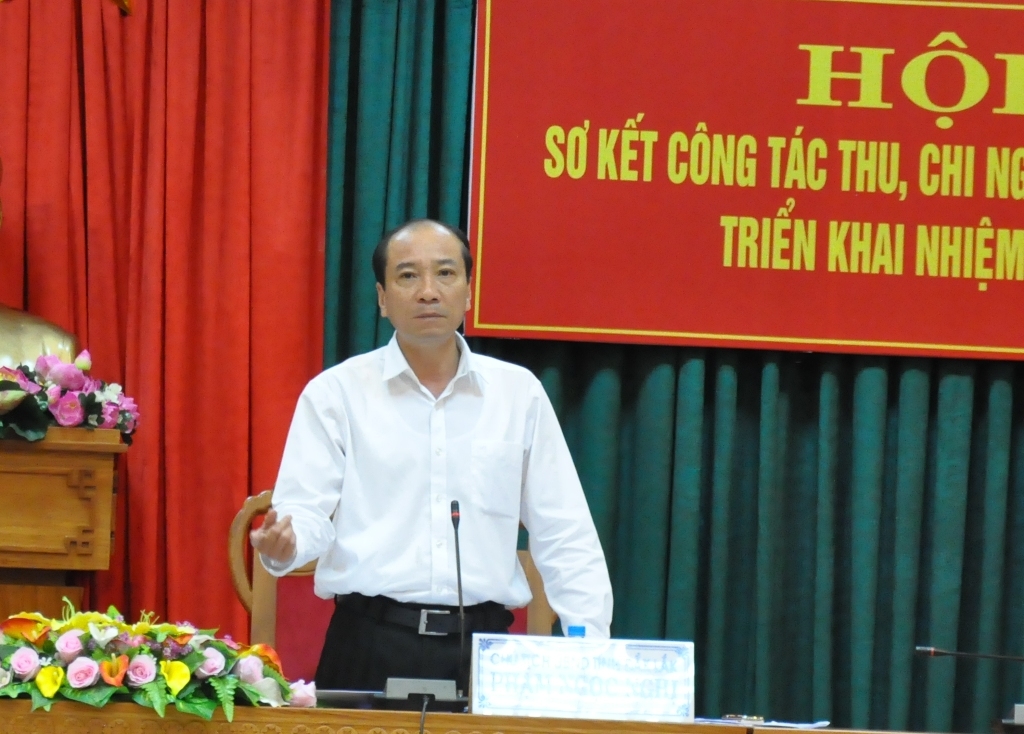 Chủ tịch UBND tỉnh Phạm Ngọc Nghị phát biểu chỉ đạo hội nghị