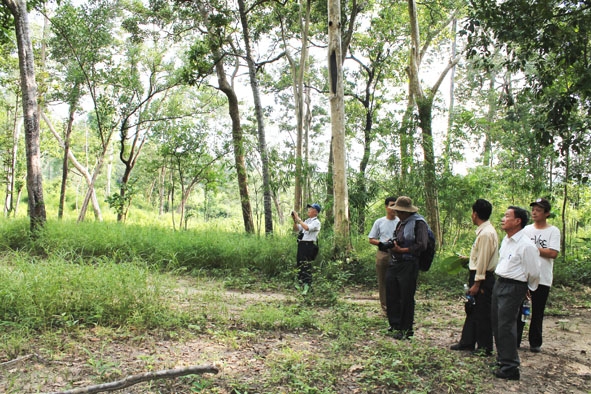 Hội Bảo vệ thiên nhiên và môi trường Việt Nam khảo sát hệ thực vật tại Vườn Quốc gia Yok Đôn.  Ảnh: Thúy Hồng