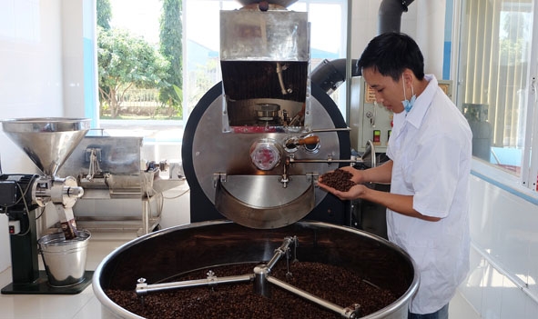 Rang xay cà phê bột tại Nhà máy chế biến cà phê nhân xuất khẩu Intimex Buôn Ma Thuột.