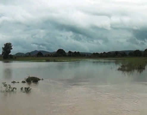 Nhiều diện tích cây trồng tại xã Ea Rốc, huyện Ea Súp bị ngập trong đợt mưa lũ cuối tháng 6-2016