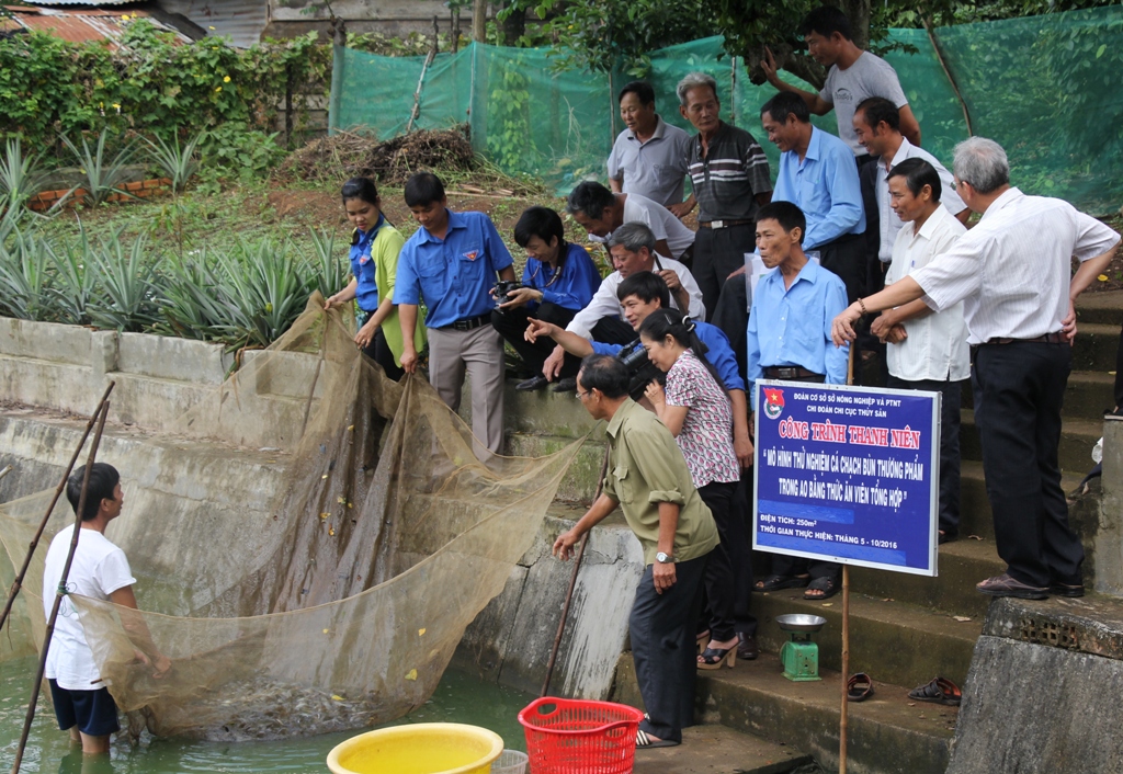 Các đại biểu và nông dân thị trấn Buôn Trấp tham quan mô hình nuôi chạch bùn của ông Trần Văn Lệ