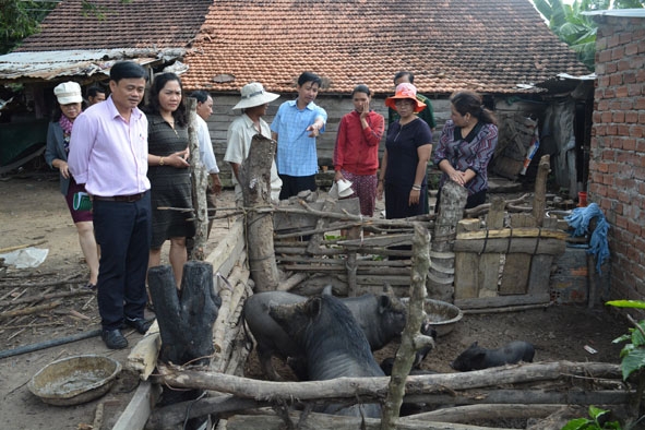 Hộ gia đình chị Sen (buôn Đắk Rleang 2, xã Ea Uy, huyện Krông Pắc) đang dần thoát nghèo nhờ vốn vay theo Quyết định 54. 