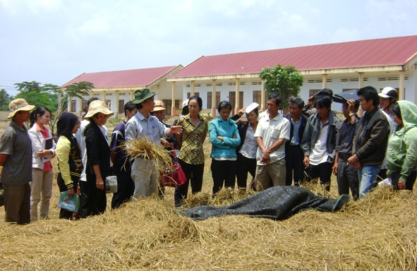 Học viên tìm hiểu quy trình trồng nấm tại Trung tâm Dạy nghề huyện Krông Ana. 