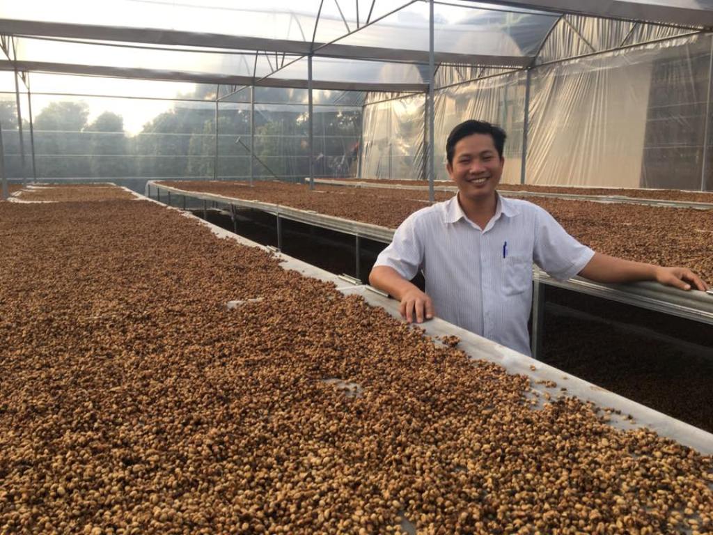 Mô hình sản xuất cà phê chế biến chất lượng cao của người dân liên kết với Công ty TNHH MTV xuất nhập khẩu cà phê 2-9 tại Krông Năng