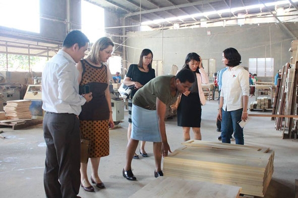 Đoàn công tác của Đại sứ quán Nam Phi tại Việt Nam cùng Phòng Thương mại và Công nghiệp Việt Nam tham quan mô hình sản xuất  chế biến gỗ của Công ty TNHH Tín Nghĩa.
