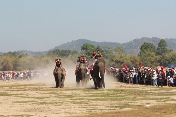 Đua voi huyện Lắk là một “đặc sản” của du lịch Đắk Lắk.