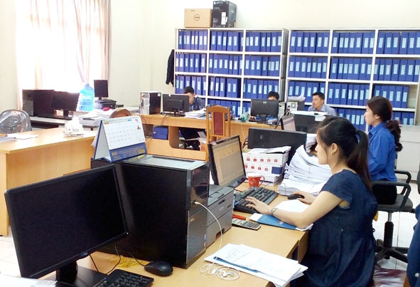 Nhân viên Phòng Quản lý thu nhập  dữ liệu hồ sơ trước khi cấp sổ BHXH cho người lao động quản lý. 