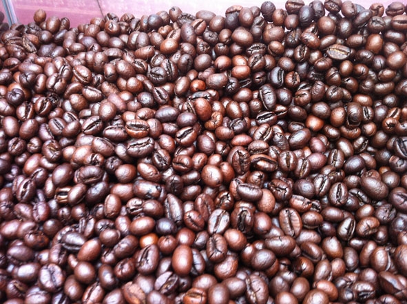  Cà phê bi chỉ chiếm tỷ lệ khoảng 2-3% trong vụ mùa.  
