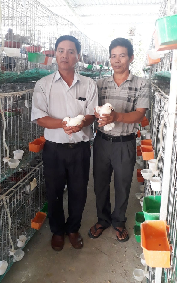 Ông Phạm Xuân Tiến (bìa phải) cùng cán bộ Hội nông dân xã Ea Kuăng tại trang trại chim bồ câu.  