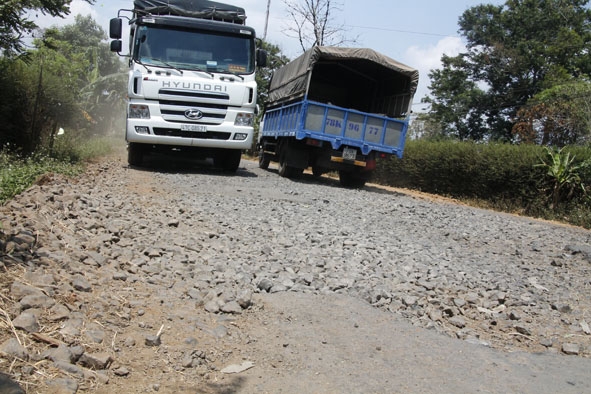 Xe tải chen chúc trên tỉnh lộ 8 đoạn qua huyện Cư M'gar. 