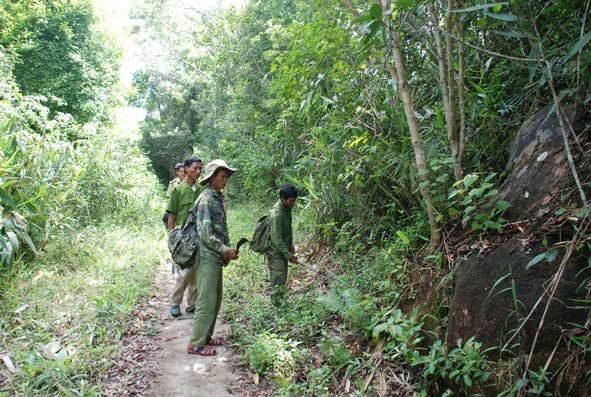Người dân  xã Hòa Sơn (huyện  Krông Bông) cùng cán bộ kiểm lâm  tham gia  tuần tra, bảo vệ rừng  ở VQG  Chư Yang Sin. 