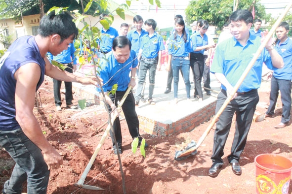 ĐVTN TP. Buôn Ma Thuột tham gia trồng cây xanh tại buôn Đung (xã Cư Êbur). 