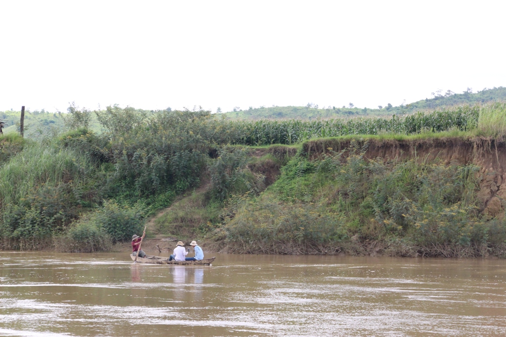   Người dân  chèo thuyền sang  bên kia sông để canh tác. Ảnh: T. Dung