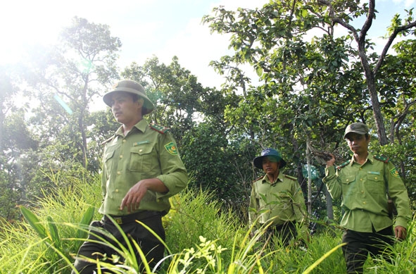 Kiểm lâm Vườn Quốc gia Yok Đôn trong một đợt tuần tra bảo vệ rừng.