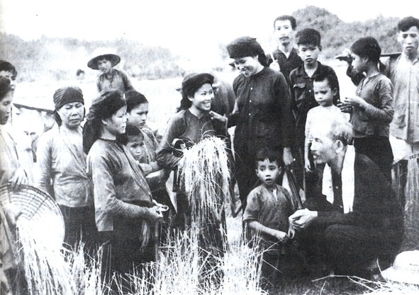 Bác Hồ thăm nông dân đang gặt lúa trên cánh đồng xã Hùng Sơn, (huyện Đại Từ, Thái Nguyên)  vào năm 1954.   Ảnh: Tư liệu