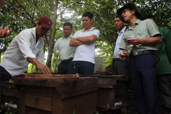Các hộ nuôi ong chia sẻ kinh nghiệm xếp thùng ong lên xe tải khi vận chuyển đi xa.