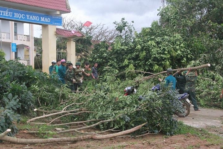 Lực lượng chức năng đang giúp Trường Tiểu học Yang Mao (huyện Krông Bông) dọn dẹp cây xanh bị gãy đổ.