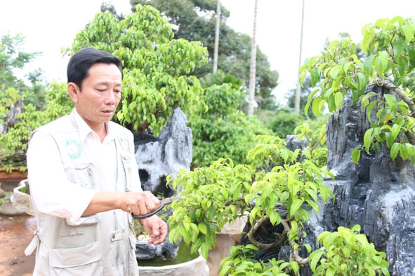 Bác Nguyễn Văn Khiển chăm sóc vườn cây cảnh của gia đình. 