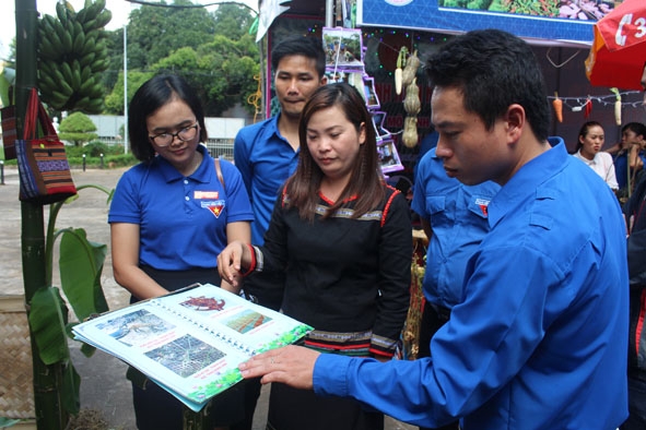 Thành Đoàn Buôn Ma Thuột  giới thiệu  một số mô hình  tổ hợp tác,  hợp tác xã thanh niên  trên địa bàn trong  Ngày hội  thanh niên nông thôn  tỉnh Đắk Lắk năm 2017.  
