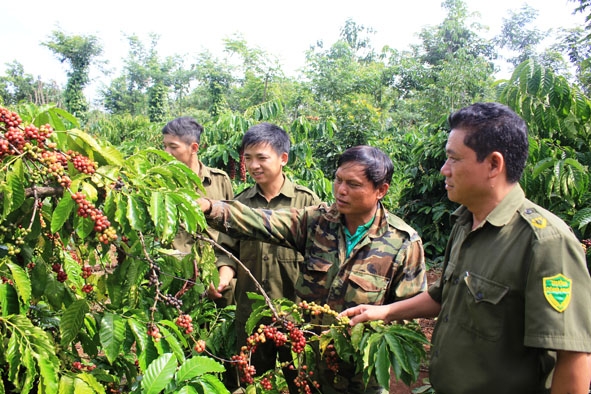 Lực lượng Công an xã Ea Kpam tuần tra bảo vệ cà phê cho người dân trên địa bàn.
