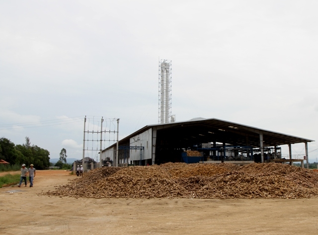 Nhà máy chế biến tinh bột sắn ở huyện M'Đrắk
