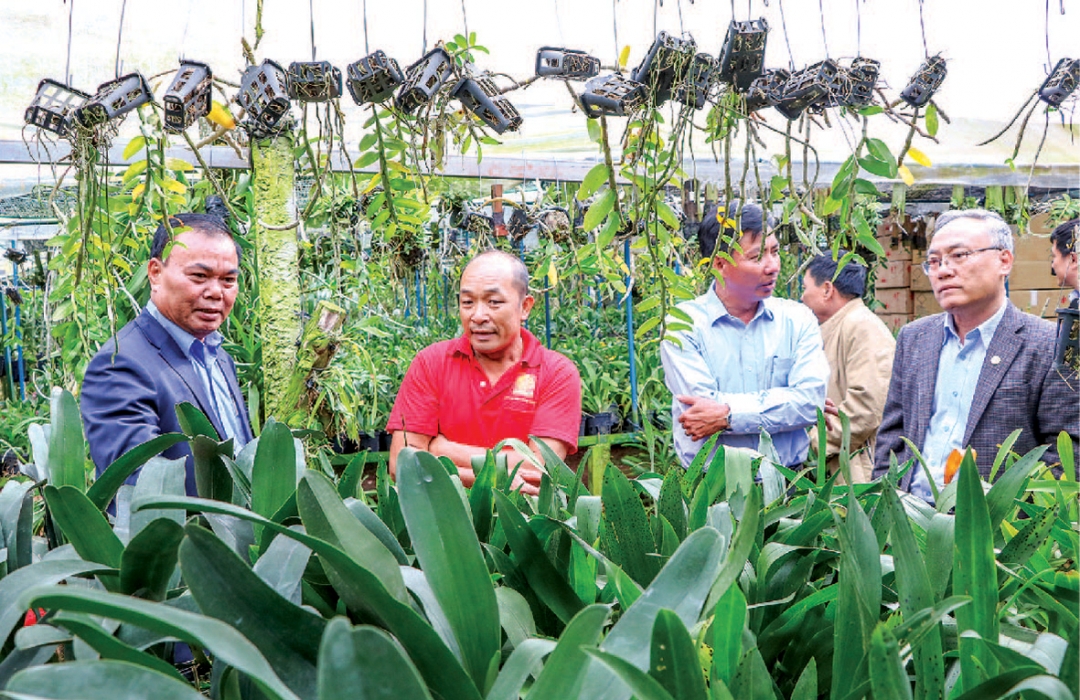 Bí thư Tỉnh ủy Êban Y Phu (bìa trái) thăm mô hình trồng lan theo phương pháp nuôi cấy mô ở xã Quảng Tiến (huyện Cư M’gar) - Ảnh: H.Gia
