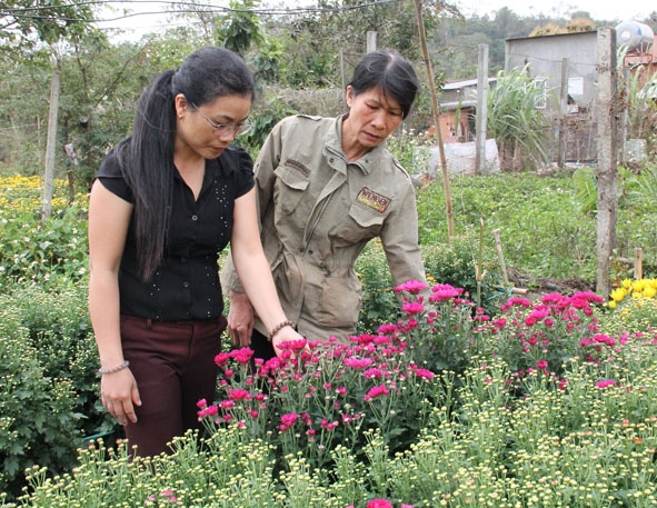 Mô hình trồng hoa của Chi hội phụ nữ  thôn  Kim Phát  (xã Hòa Hiệp,  huyện  Cư Kuin). 