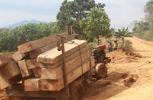 Một chiếc xe máy cày vận chuyển gỗ bị bắt ở huyện M'Đrắk.  Ảnh: V. Tiếp