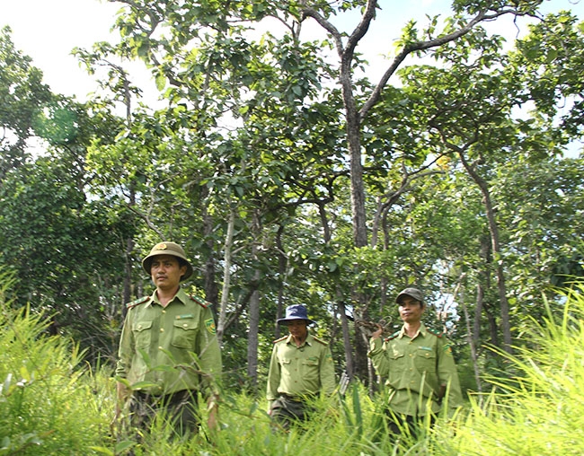 Kiểm lâm Vườn Quốc gia Yok Đôn tuần tra bảo vệ rừng. 