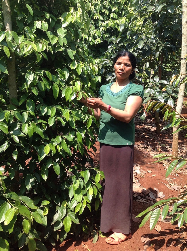  Chị H'Nghen Niê trong vườn tiêu trồng xen  cây ăn trái  của gia đình. 