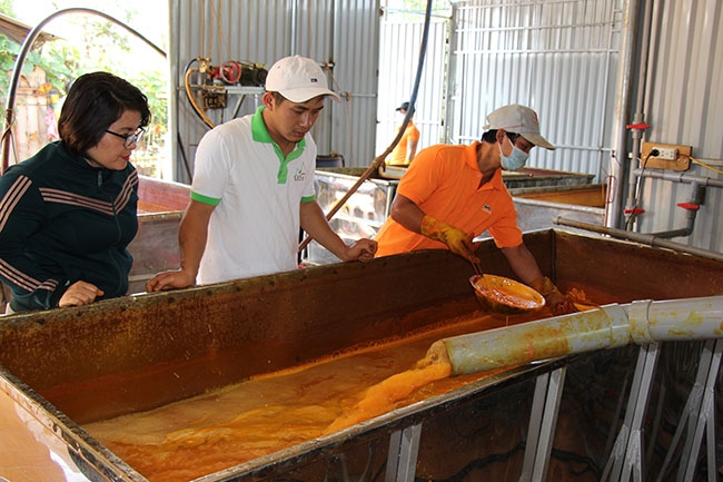 Cơ sở chế biến tinh bột nghệ trên địa bàn huyện Krông Pắc. 