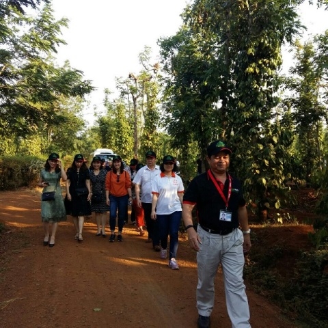 Đoàn tham quan vườn cà phê sản xuất bền vững tại Công ty TNHH Nestle Việt Nam - Chi nhánh Tây Nguyên