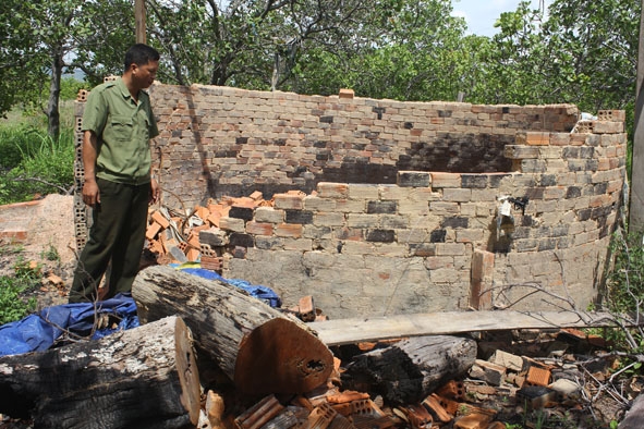 Một lò than “thổ phỉ” xây bằng gạch ở xã Ea H’leo bị lực lượng chức năng huyện Ea H’leo phá bỏ.  
