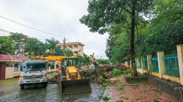 Một số cây xanh trên địa bàn TP. Buôn Ma Thuột bị gãy đổ do ảnh hưởng của cơn bão số 12 năm 2017.