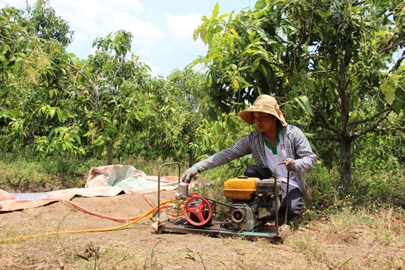 Nông dân xã Cư M’lan (huyện Ea Súp) chú trọng sử dụng máy móc trong chăm sóc vườn xoài. 
