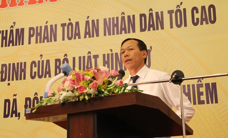 Tiến sĩ Nguyễn Trí Tuệ, Phó Chánh án TAND Tối cao phát biểu tại hội thảo.